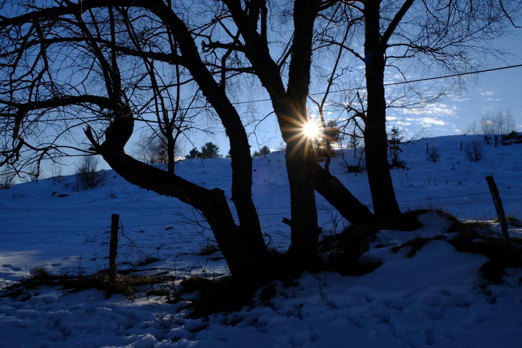 Aux Jardins D'Argiles Daire Buhl Dış mekan fotoğraf