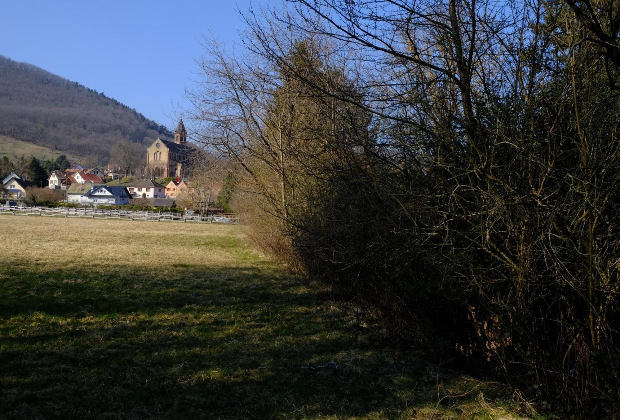 Aux Jardins D'Argiles Daire Buhl Dış mekan fotoğraf